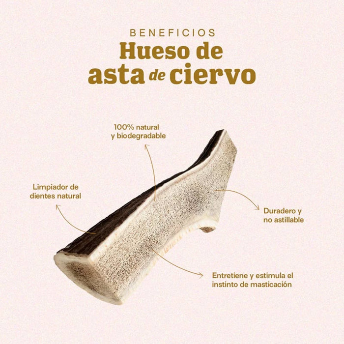 Doggo Asta de Ciervo Pequeña