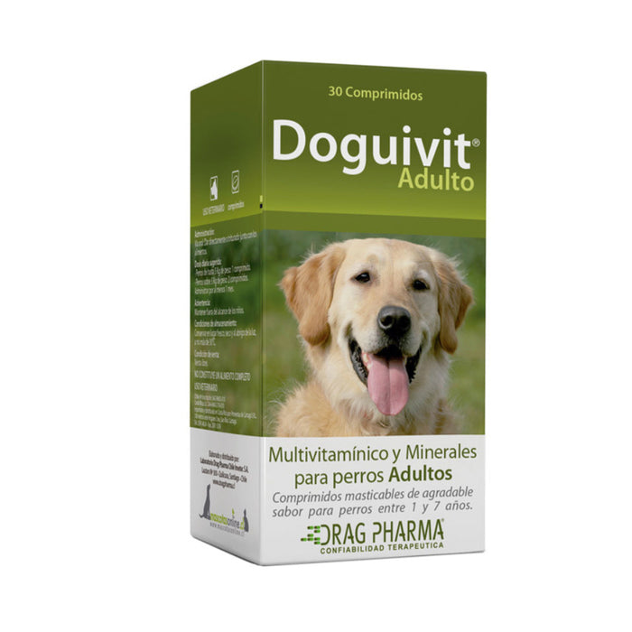 Doguivit Adulto