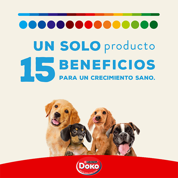 Doko para perros cachorro