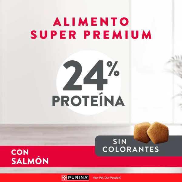 Excellent Skin Care Adulto Sabor Salmón