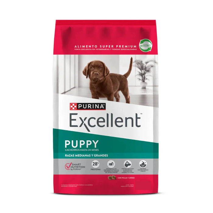 Excellent Cachorro de Razas Medianas y Grandes