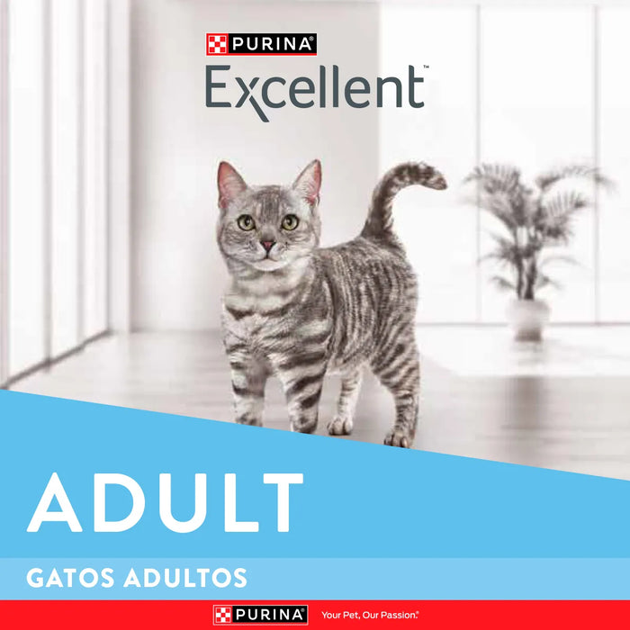 Excellent Gatos Adulto