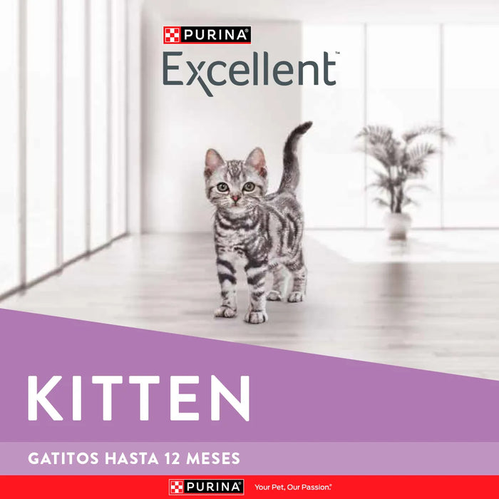 Excellent Gatitos