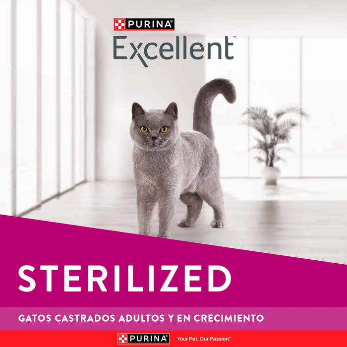 Excellent Gatos Sterilized