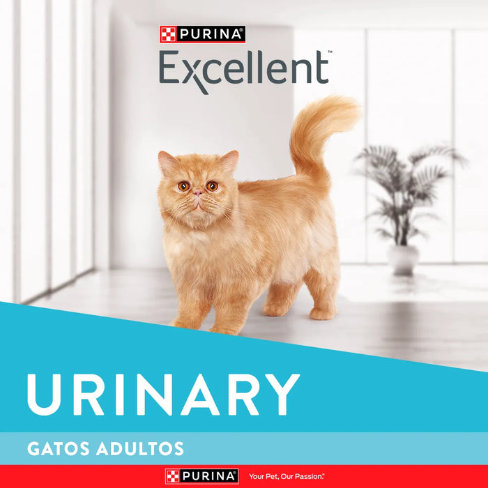 Excellent Gatos Urinary