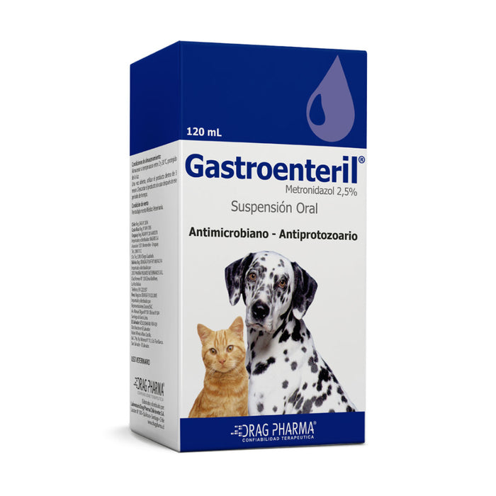 Gastroenteril
