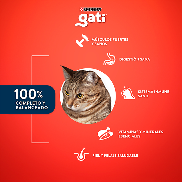 Gati Adultos sabor Pescado y Salmón a la Primavera