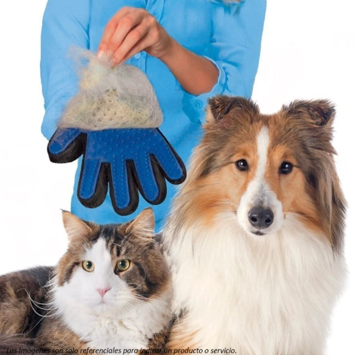 Guante Para Pelo True Touch