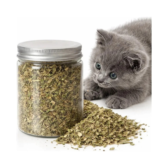 Hierba Gatera Natural Buen Amigo 50g