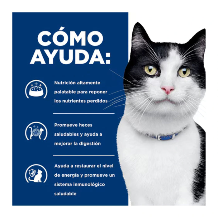 Hill's Lata i/d Digestive Care Gato