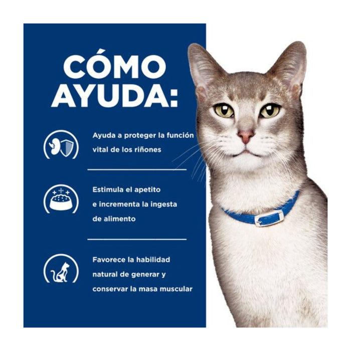 Hill's Lata k/d Kidney Care Gato
