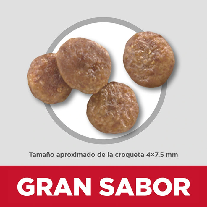 Hill's Senior Small and Mini