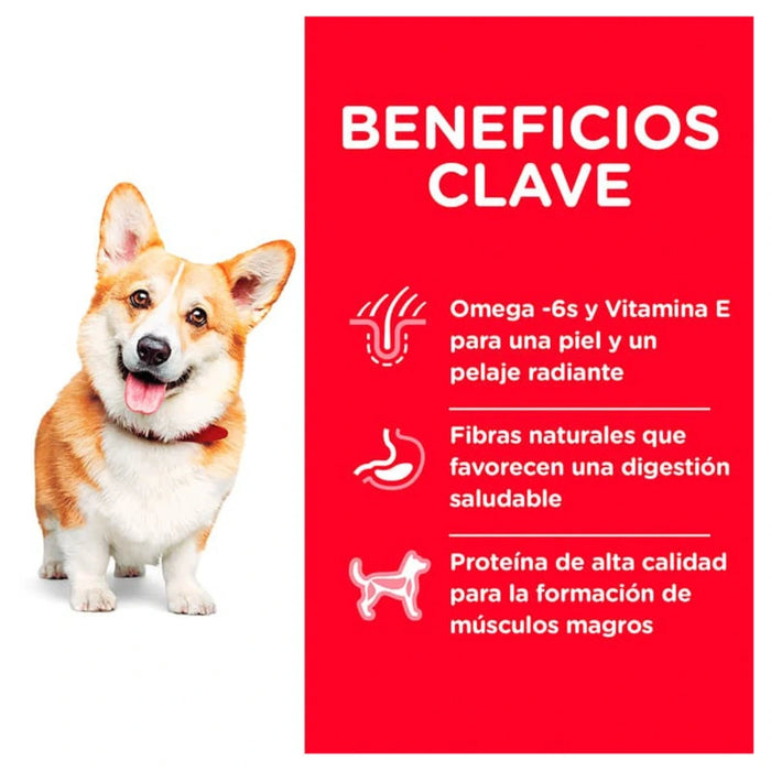 Hills Science Diet Dog Adult Small Bites