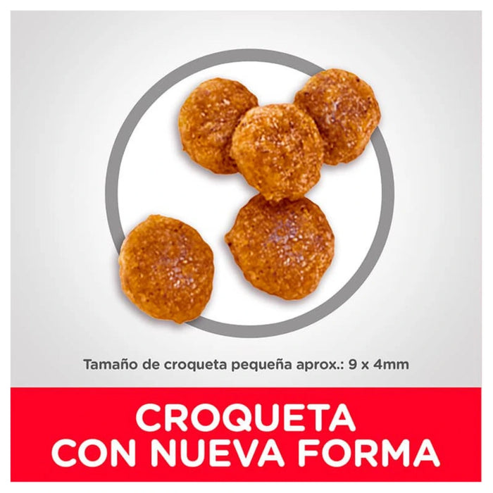 Hills Science Diet Dog Adult Small Bites