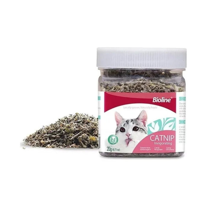 Hoja de Catnip Hierba Gatera Bioline