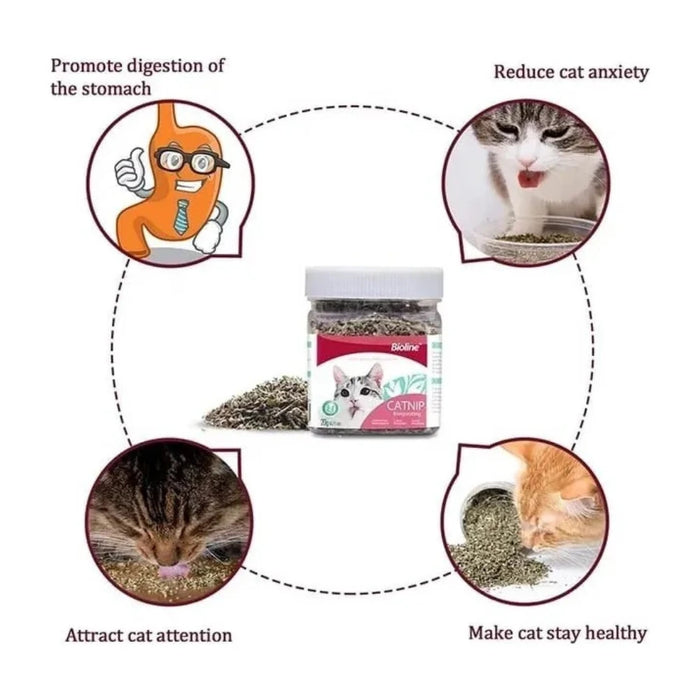 Hoja de Catnip Hierba Gatera Bioline