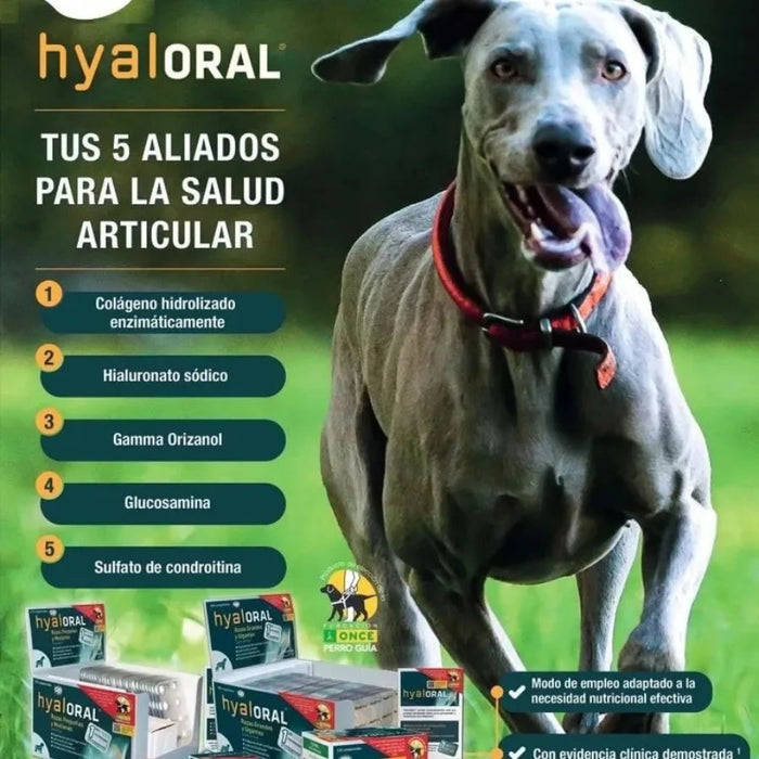 Hyaloral Razas Pequeñas y Medianas