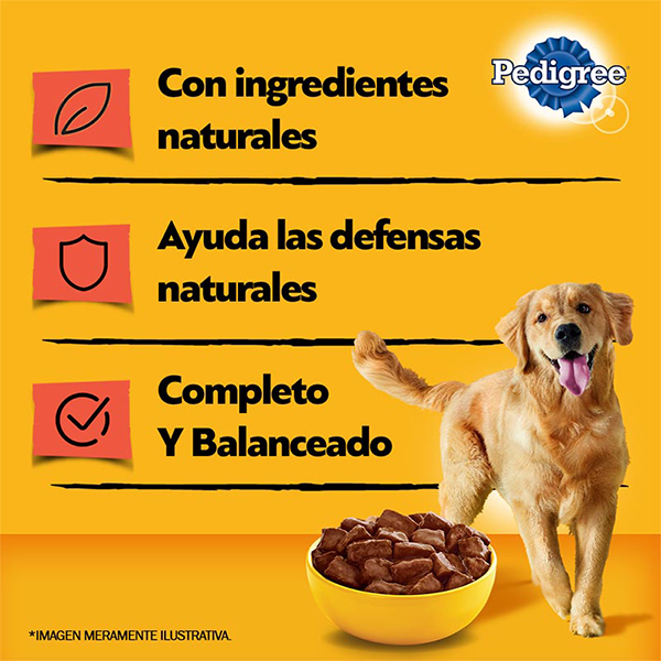 Pedigree Lata Alimento Húmedo Perro Adulto, sabor carne