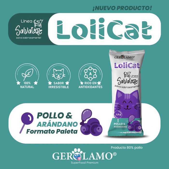 Lolicat Gerolamo