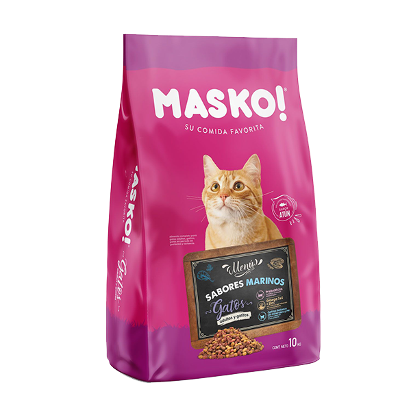 Masko Gatos adultos