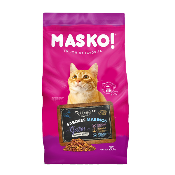 Masko Gatos adultos