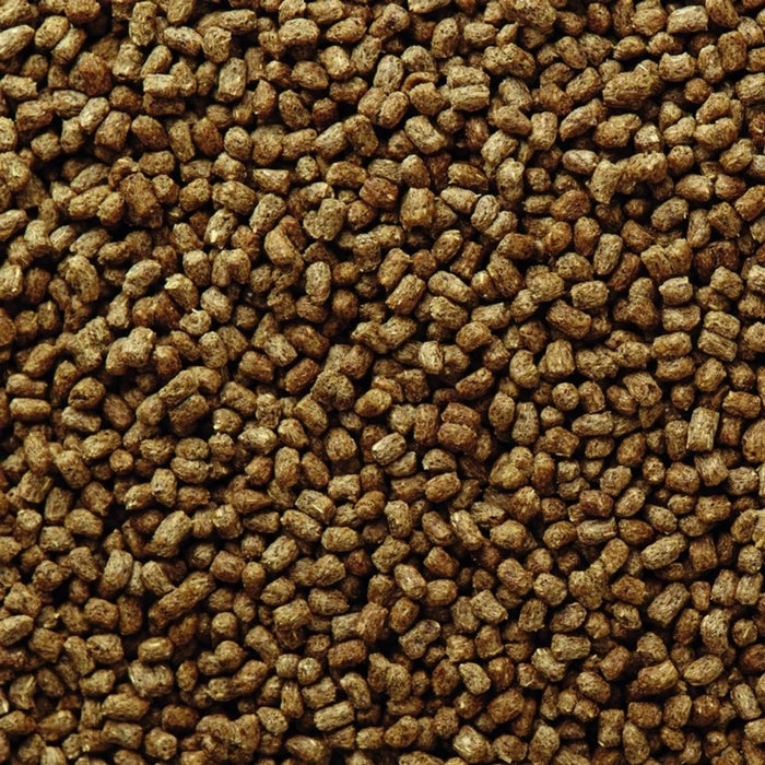 Mazuri Erizo de Tierra