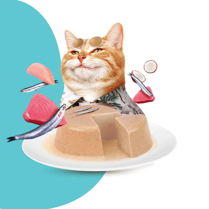 Moochie Gato Digestive Care con Anchoas