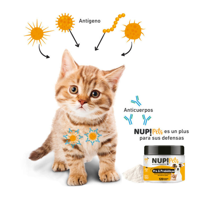 NUP! Pets Pre & Probióticos Salmón para perros y gatos