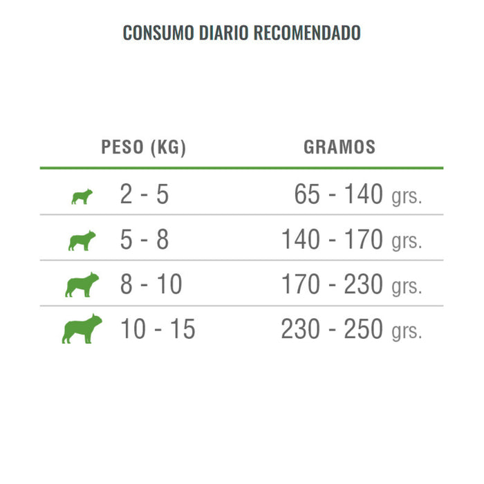 Nomade Perro Adulto Raza Pequeña