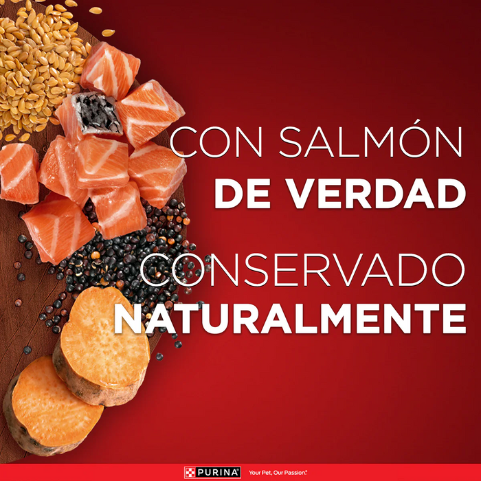 One Alimento Húmedo Superfoods para Perros