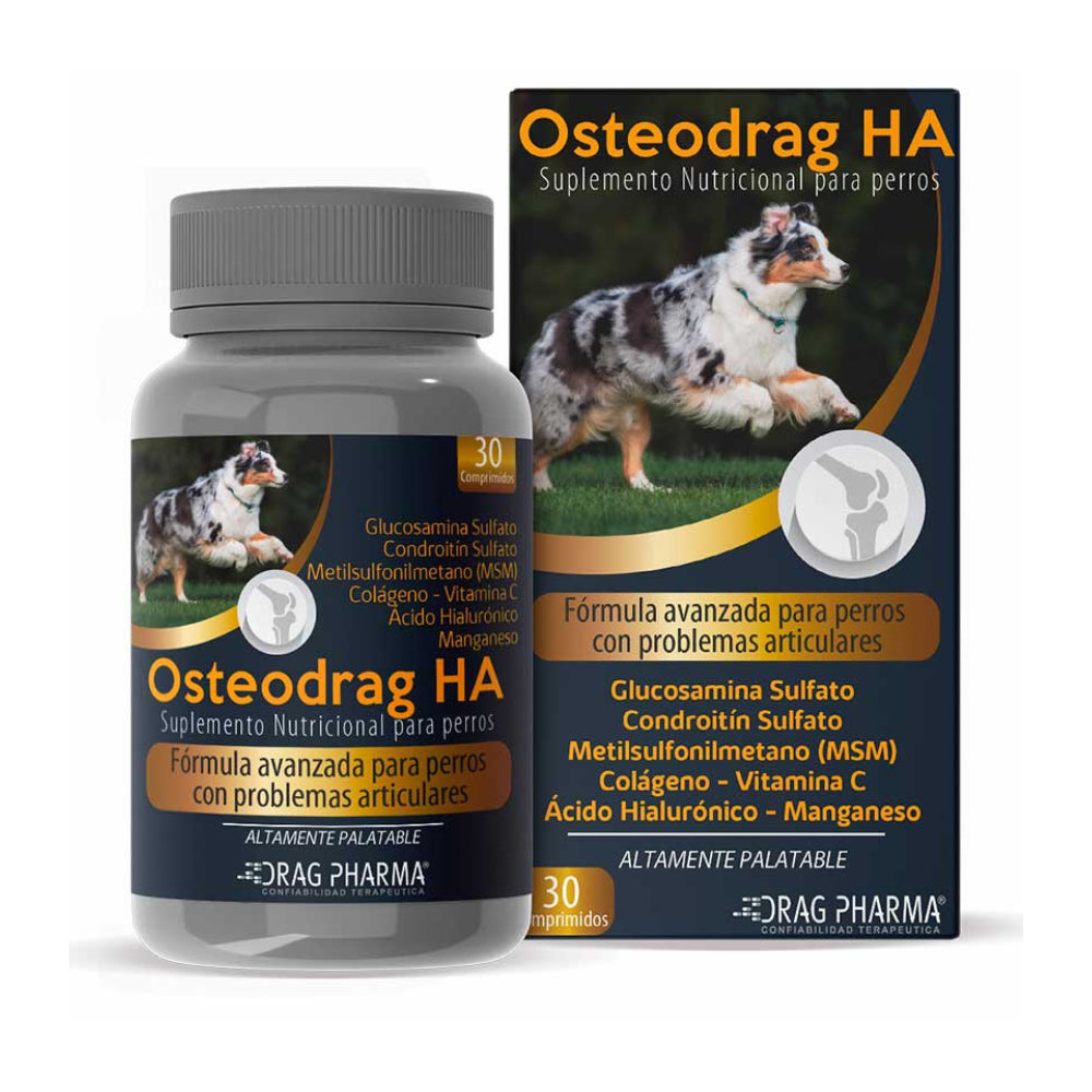 Alimentos para Articulaciones en Perros y Gatos