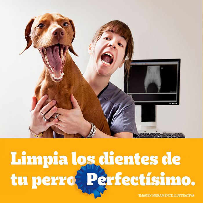 Pedigree Dentastix Adulto Razas Grandes