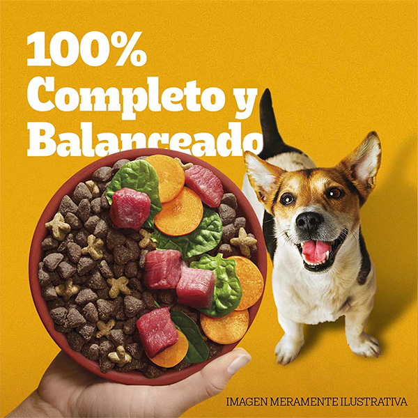 Pedigree Adulto Razas Pequeñas Sabor Carne y Vegetales