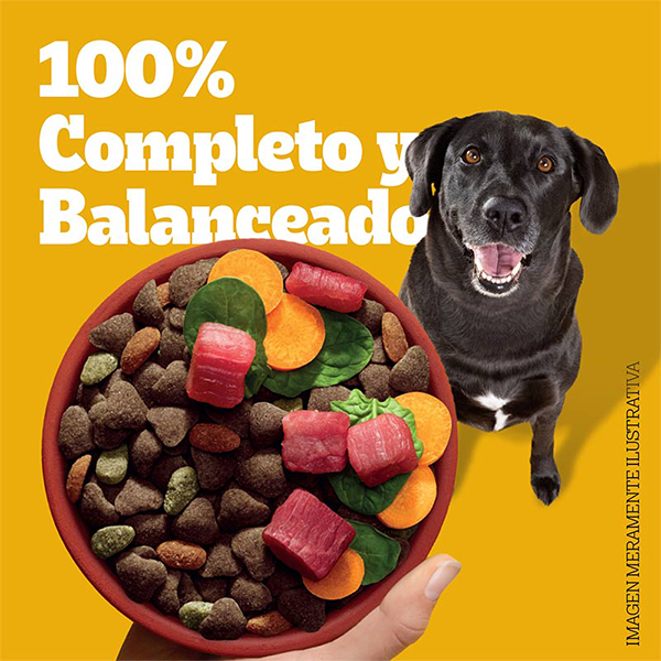 Pedigree Senior Sabor Carne y Vegetales