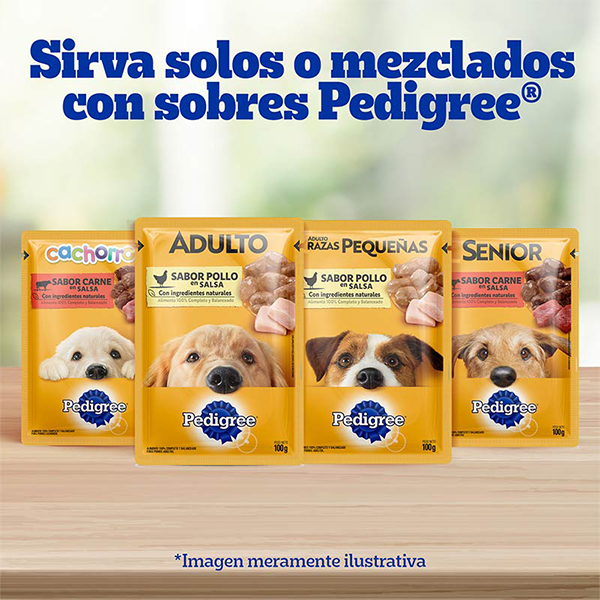 Pedigree Senior Sabor Carne y Vegetales