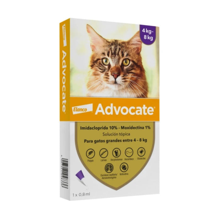 Pipeta Advocate Gatos Entre 4 - 8 kg