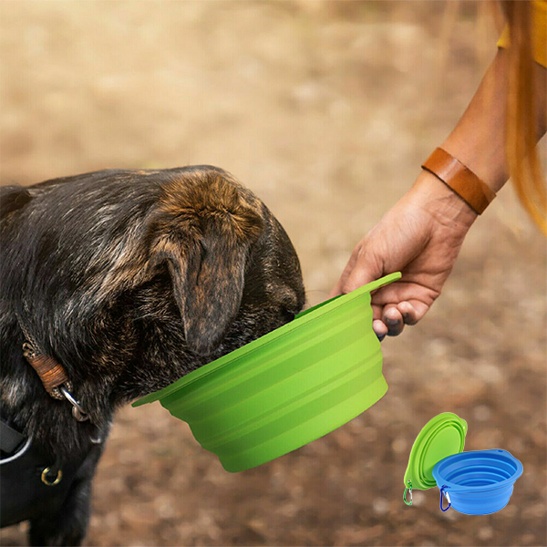 Plato plegable de paseos para mascota Buen Amigo