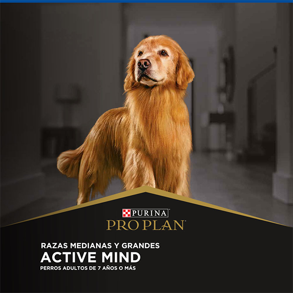 Purina Pro Plan Active Mind Senior Razas Medianas y Grandes