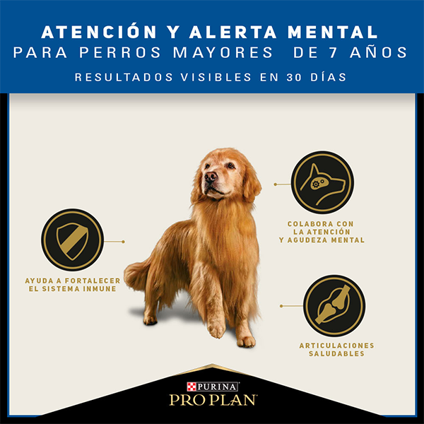 Purina Pro Plan Active Mind Senior Razas Medianas y Grandes