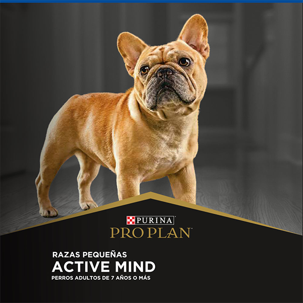 Purina Pro Plan Active Mind Senior Razas Pequeñas