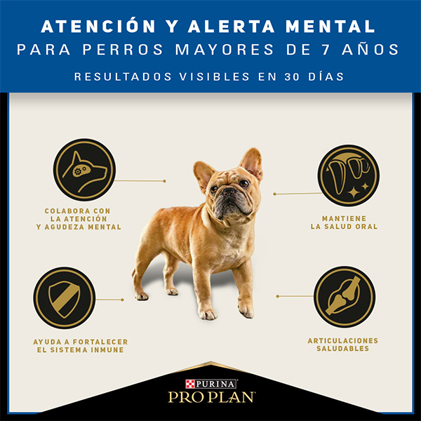 Purina Pro Plan Active Mind Senior Razas Pequeñas