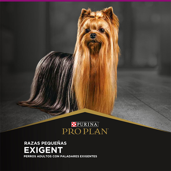 Purina Pro Plan Exigent Adulto Razas Pequeñas