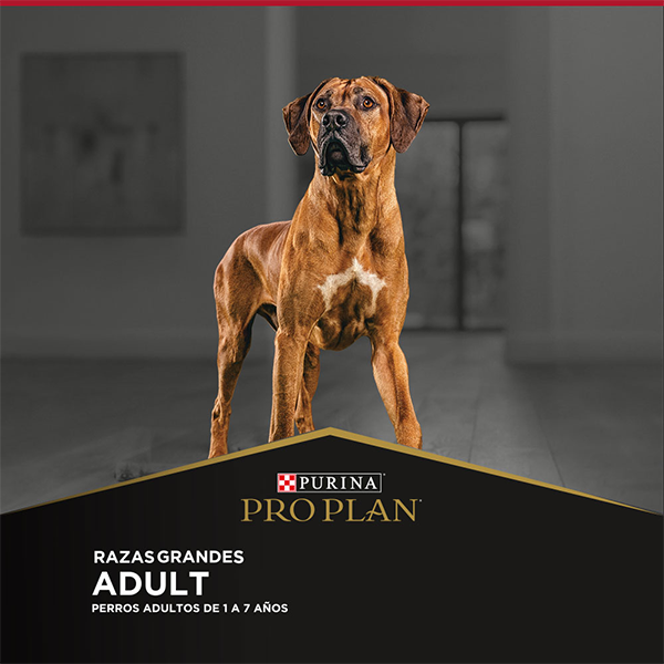 Purina Pro Plan Adulto Razas Grandes