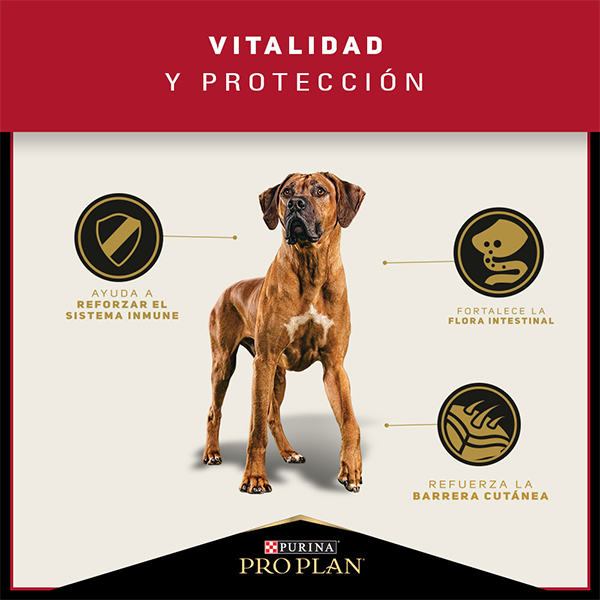 Purina Pro Plan Adulto Razas Grandes