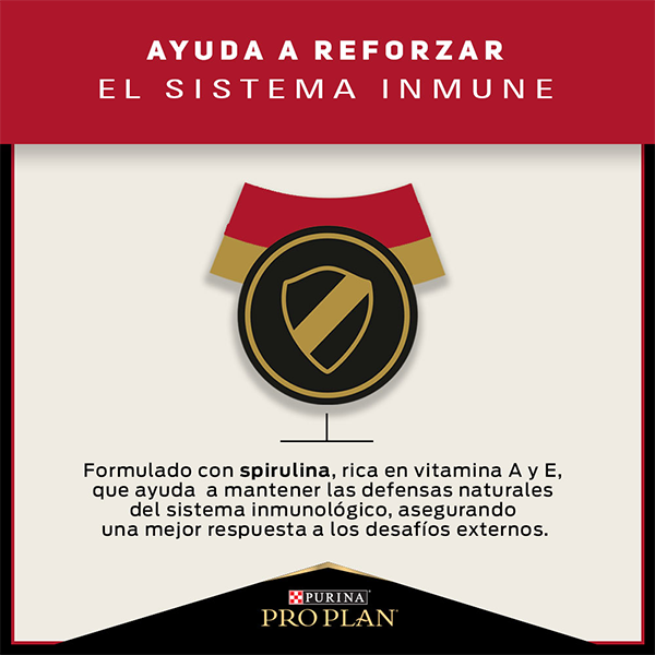 Purina Pro Plan Adulto Razas Grandes