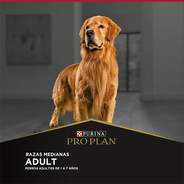 Purina Pro Plan Adulto Razas Medianas