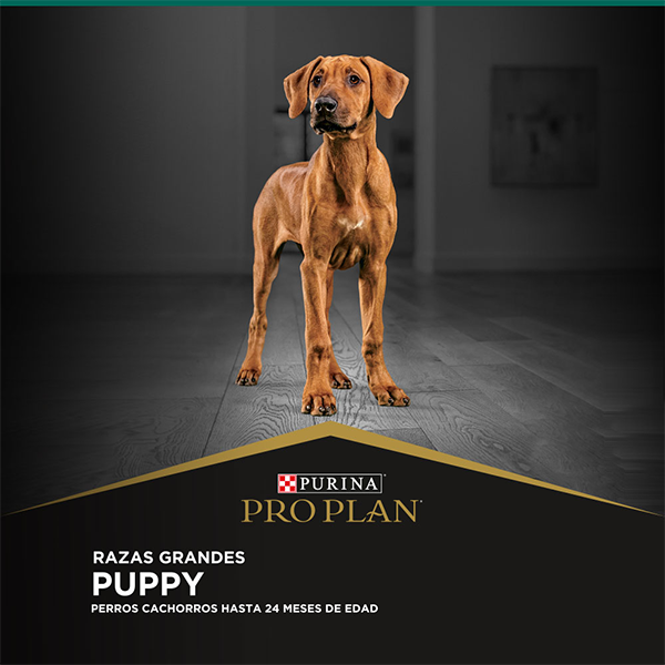 Purina Pro Plan Puppy Razas Grandes