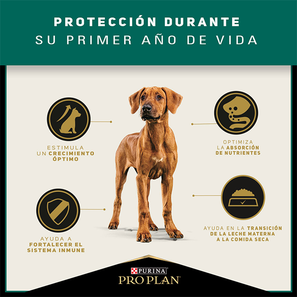 Purina Pro Plan Puppy Razas Grandes