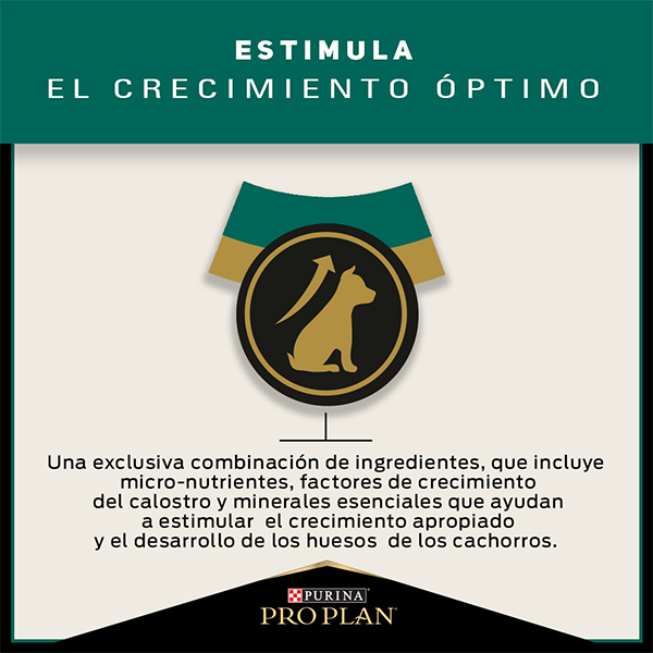 Purina Pro Plan Puppy Razas Grandes