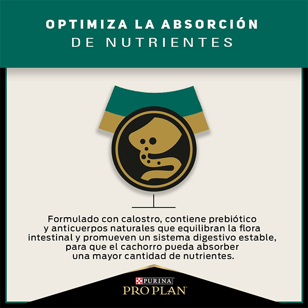 Purina Pro Plan Puppy Razas Pequeñas